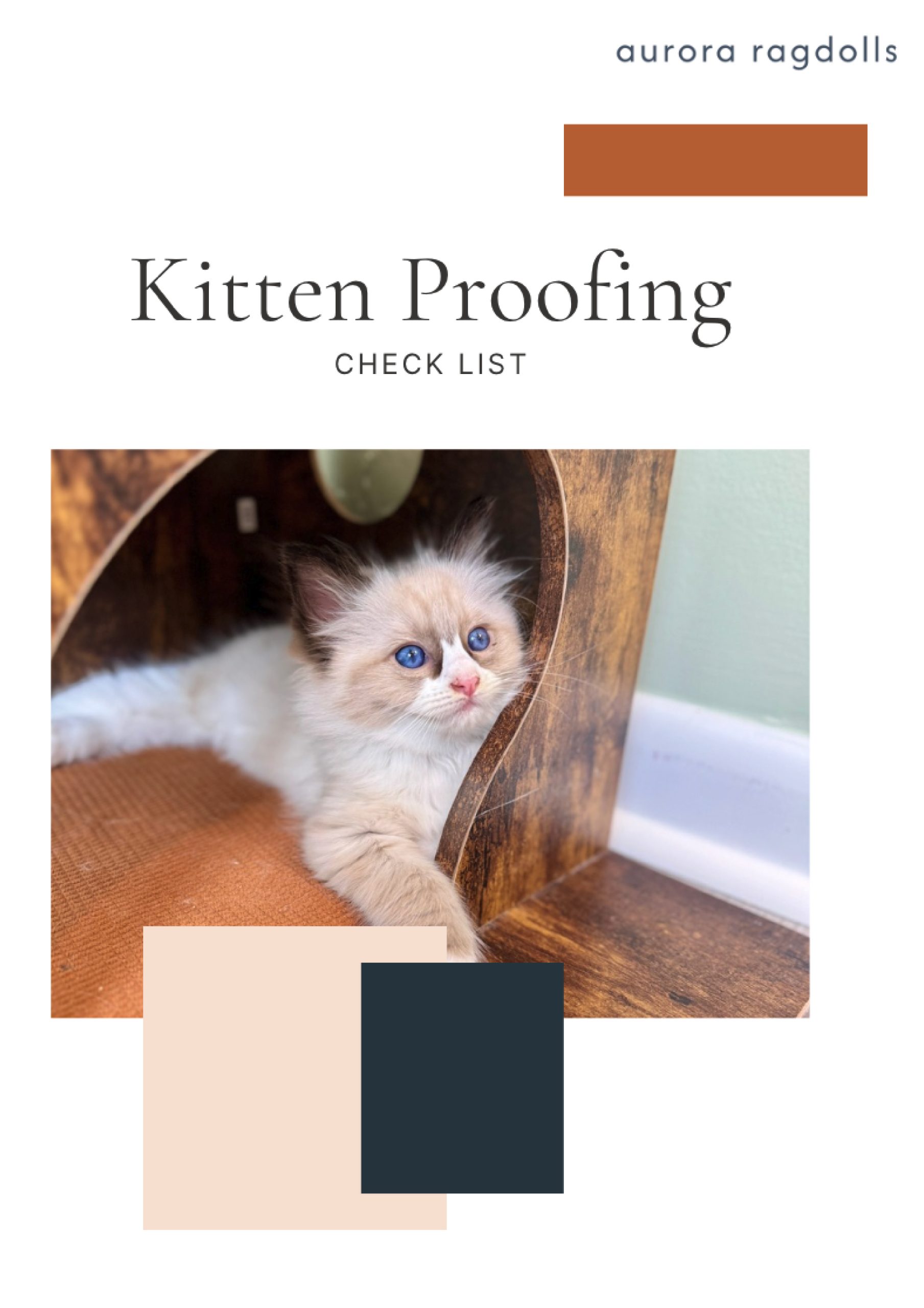 Kitten Proofing Kitten Proofing scaled