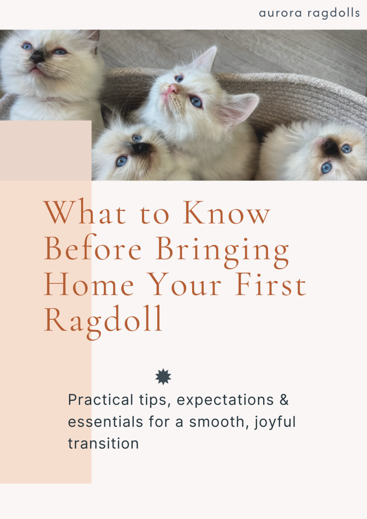 What to Know
