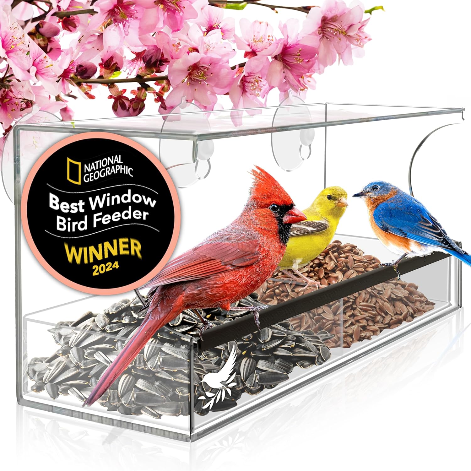 bird feeder bird feeder