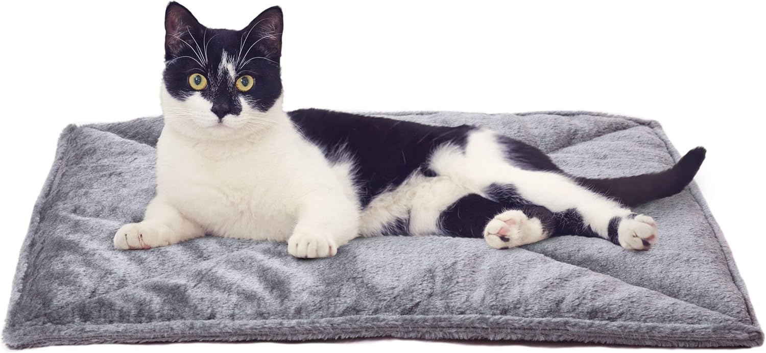 cat bed cat bed