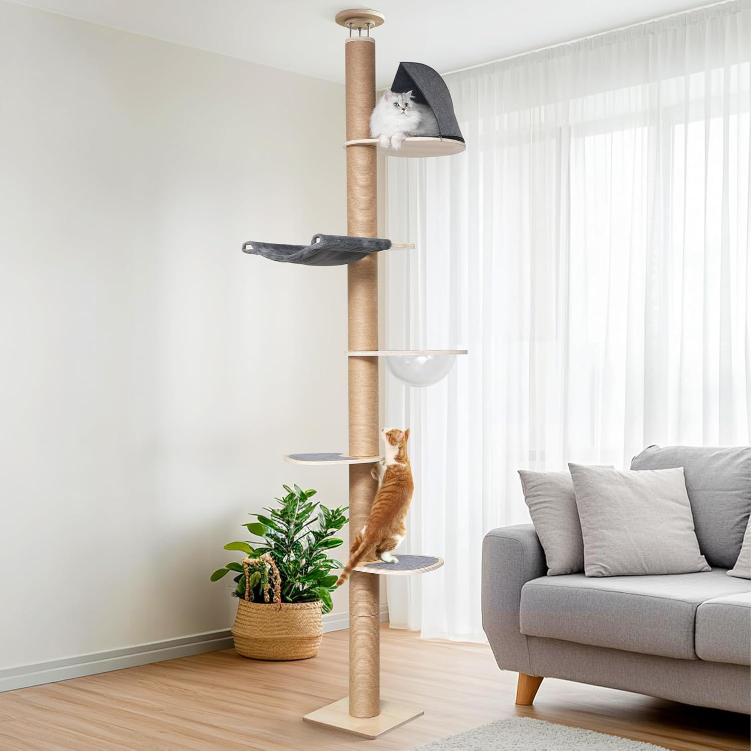 hugecattree hugecattree