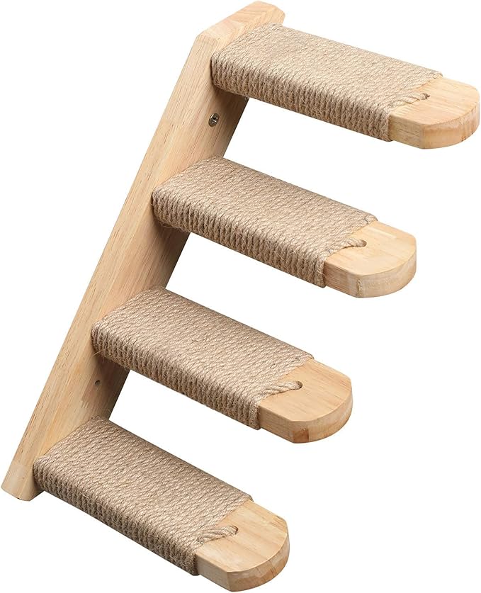 ladder ladder