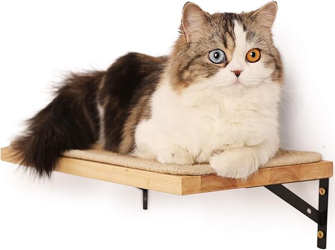 shelf shelf