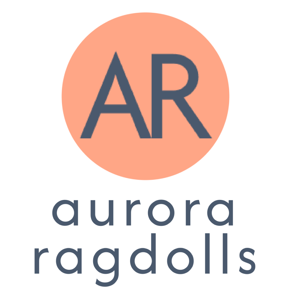 Aurora Ragdolls logo