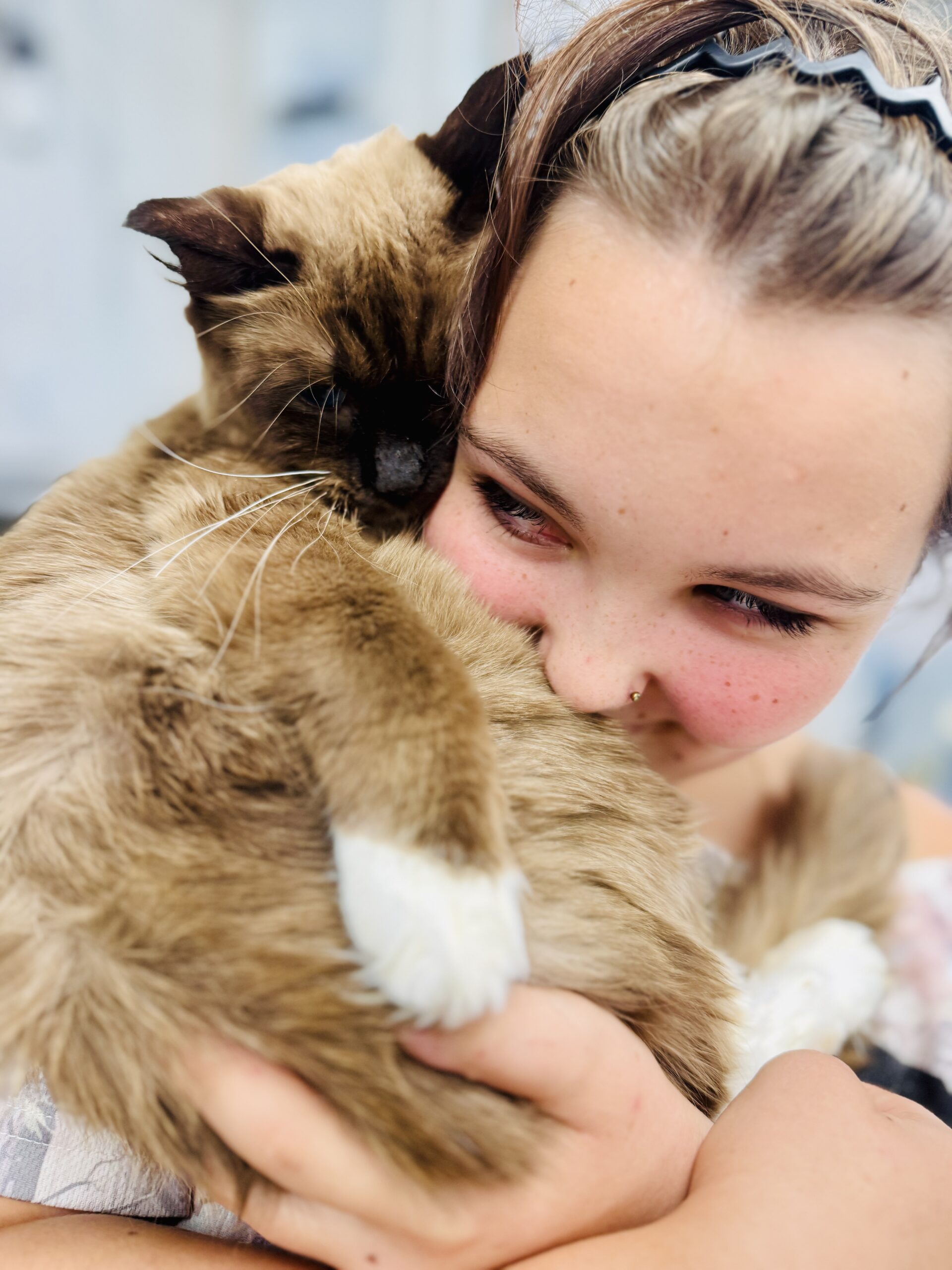 An Aurora family member with one of our Ragdolls